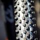 Nuove gomme Schwalbe Racing Ray e Racing Ralph per Xc